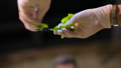 Preparing Fresh Greens with Gloved Hands Close Up
