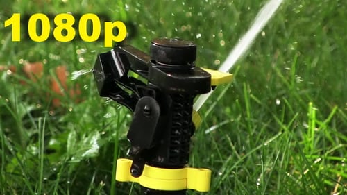 Sprinkler System Watering a Green Lawn