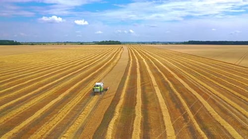 Harvesting Machine Working in the Field