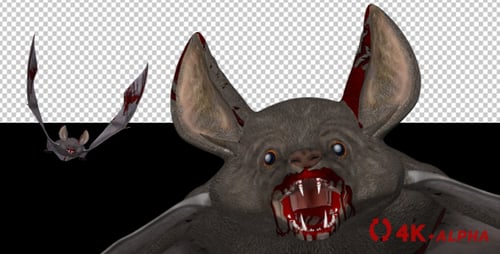 Vampire Bat in Blood - Flying Loop - Front Angle - 4K