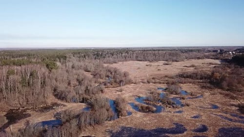 Spring Landscape Of Shevino Lake 31