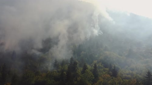 Luftaufnahme des Feuers im Wald. Filmmusik Luftaufnahme im Wald.