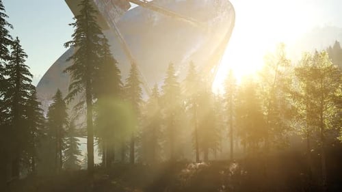 El radiotelescopio observatorio en el bosque al atardecer