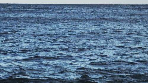 Seascape. View Of The Ocean.