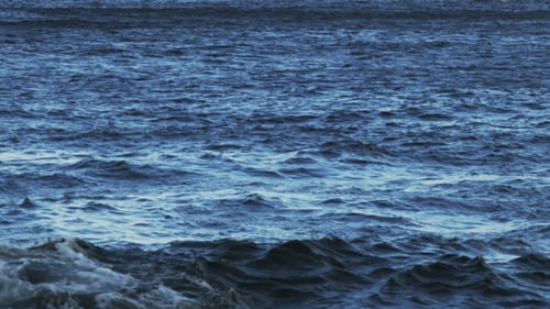 Seascape. View Of The Ocean.