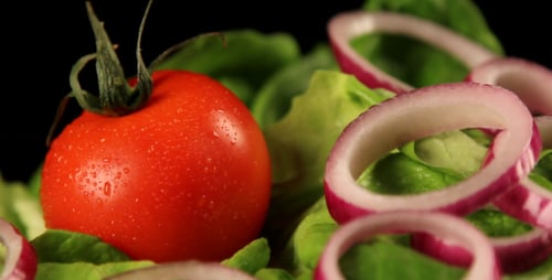 Fresh Salad with Tomato and Onion on Black