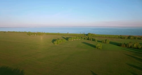 Aerial View. Low Flight Over Green And Yellow Wheat Rural Field.
