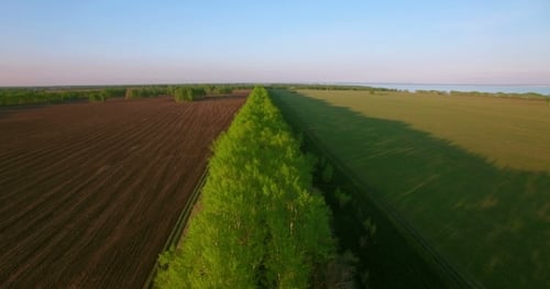 Aerial View. Low Flight Over Green And Yellow Wheat Rural Field.