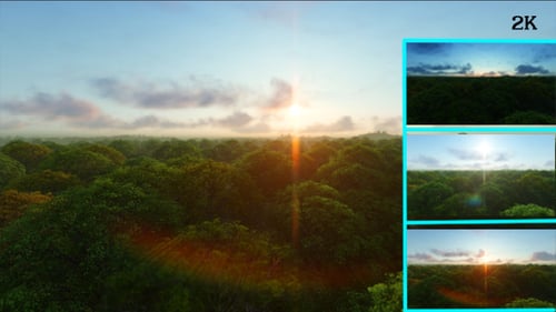 Stunning Sunrise Time-Lapse Over Lush Green Forest Canopy