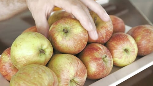 Adding Apple to Pile of Fruit on Tray