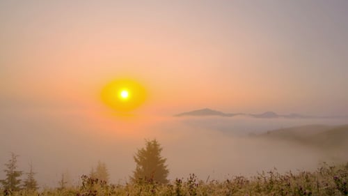 Sun Rises over Foggy Field at Sunrise