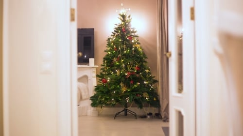 Decorated Christmas Tree in Living Room