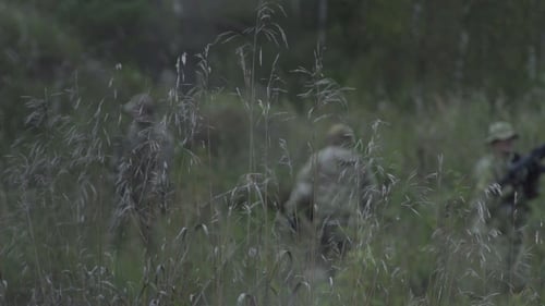 The Grass In The Field On a Background Of War. Soldiers Want The Background Field