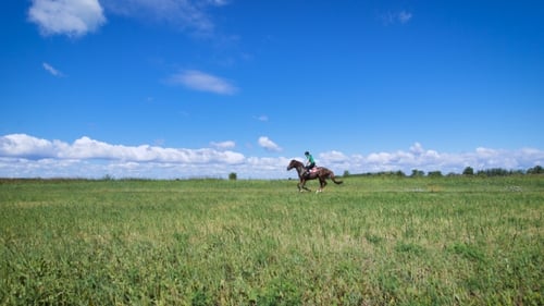 Junge Frau reitet auf einem Pferd auf der grünen Wiese