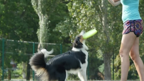 Girl With a Trained Dog