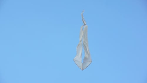 Kite Flying In The Sky