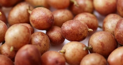 Clausena Wampi-Frucht