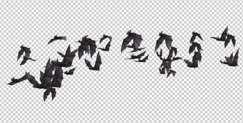 Flock of Bats - Angle Flying - II - Right to Left