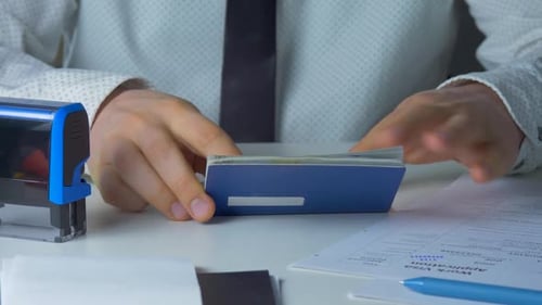 Stamping Visa Application in Blue Passport