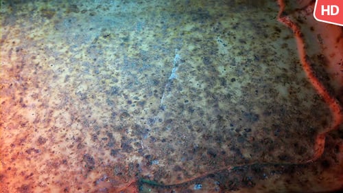 Rusty Old Surface 0338
