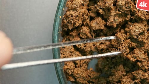 Organic Soil Test 737