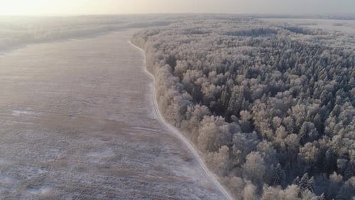 Winter Landscape in Countryside