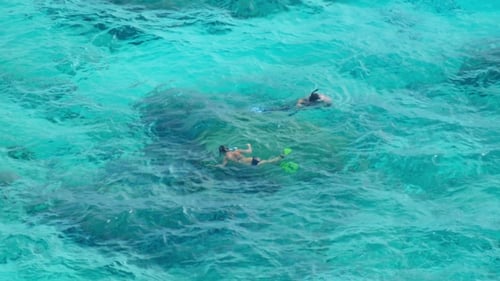 Snorkeling Near Similans