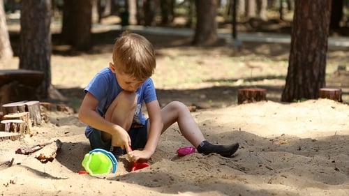 Young Boy Playing With Sand in the Park