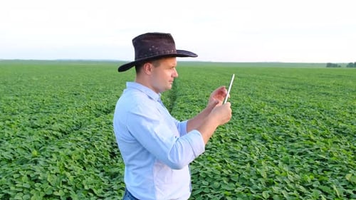 A Male Agronomist Checks the Growth of Legumes on a Farm Field Working with a Digital Tablet