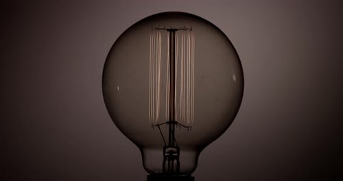 Light Bulb 44