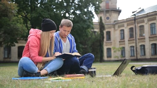 Couple Of Students Learning Together