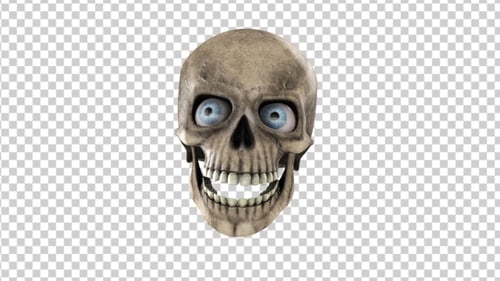 Creepy Animated Skull with Moving Jaw and Exaggerated Rolling Eyes
