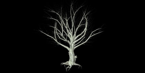 Animated Bare Tree Swaying with Alpha Channel