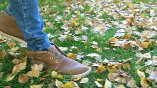 Person Walking Through Autumn Leaves in Park