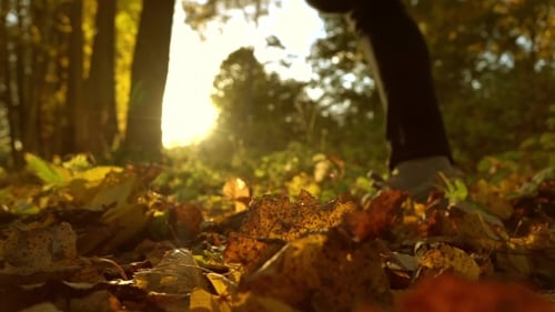 Defocused Girl Running On Fallen Autumn Leaves In Sunny Forest