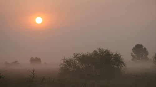 Misty Rural Field at Sunrise