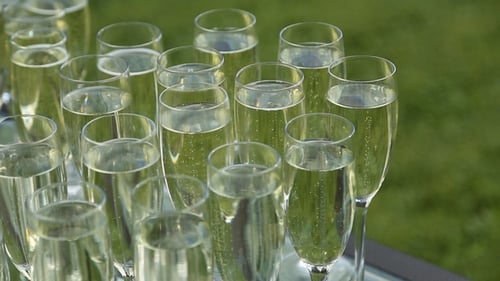 Champagne Glasses Filled With Sparkling Wine For Event