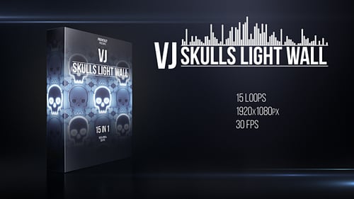 VJ Skulls Light Wall