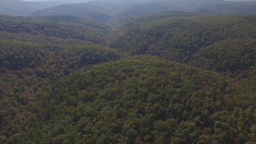 Flying Above Deep Forest Wilderness