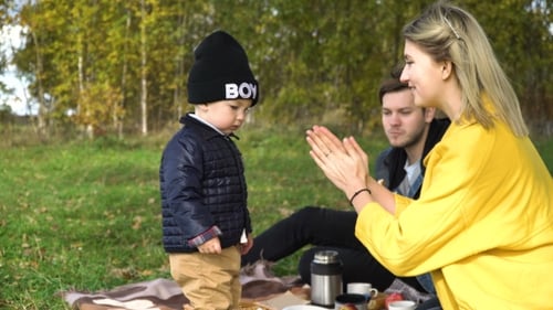 Family Picnicking In The Park.