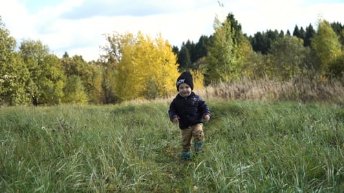 Little Boy Walks in the Park