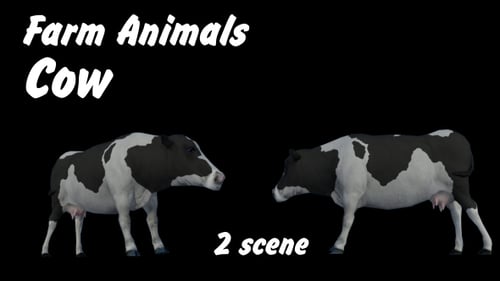 Farm Animals - Cow - 2 Scene