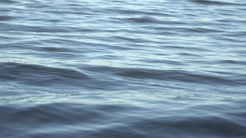 Beautiful Bewitching Excitement Of The Water. The Movement Of Water.