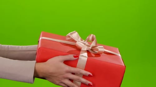 Female Hands Give a Nicely Wrapped Gift. Side View. Studio