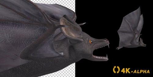 Realistic Flying Bat Animation with Alpha Channel