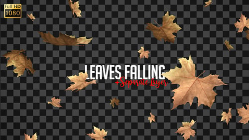 Leaves Falling