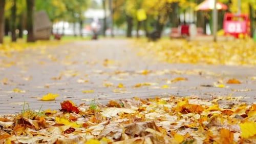 People Walking on Leaf-Covered Path in Autumn Park