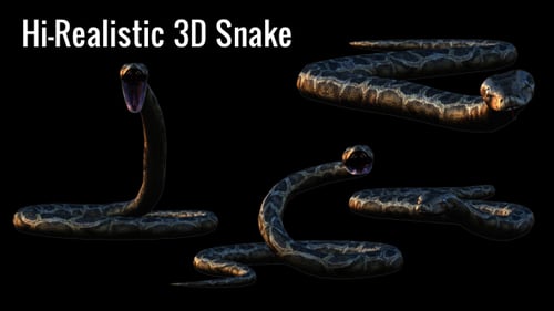 Realistic 3D Animated Snake Pack Coiling and Striking