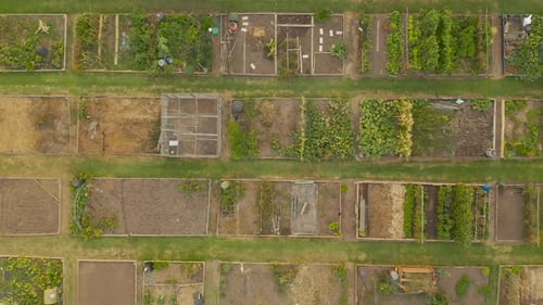 Smooth aerial perspective moving parallel above community garden space at dusk.
