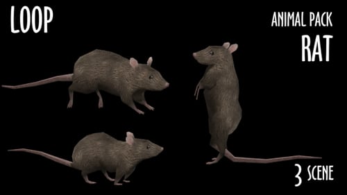 Looping 3D Animated Rat Character in Various Actions